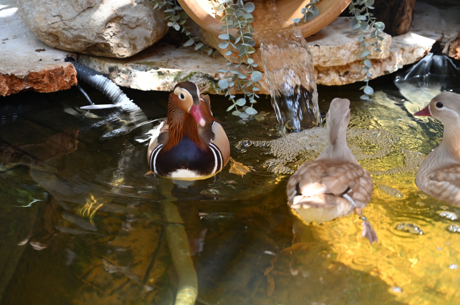 WhatsApp Image 2023-07-14 at 13.51.00.jpg